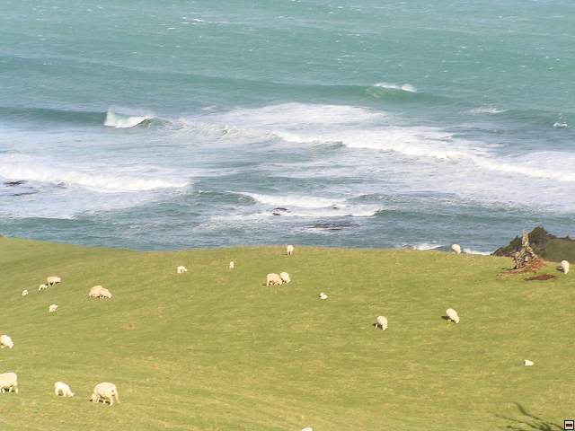 The Catlins Coast 030.jpg